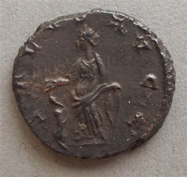 Roman-Barbarous-Radiate--ID-Please.